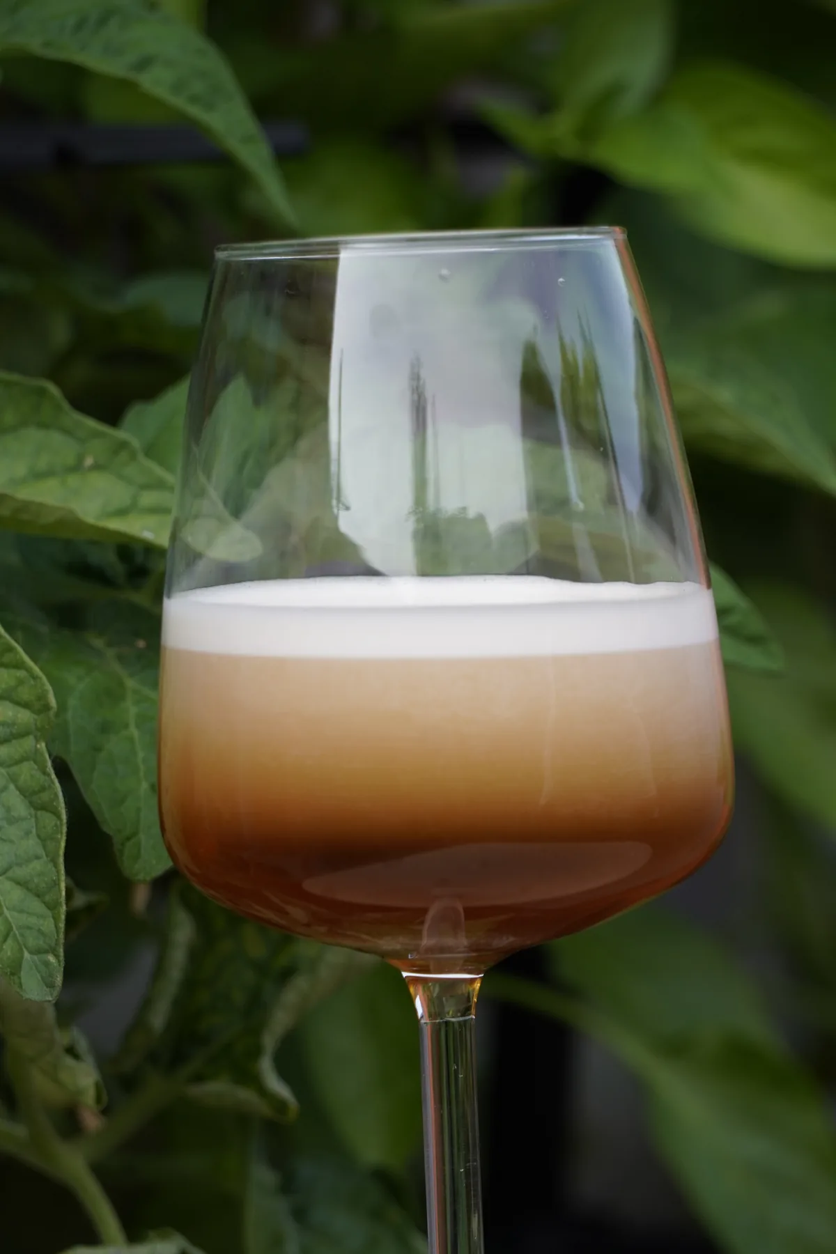 Nitro Cold Brew aus der Bag-in-Box, frisch gezapft